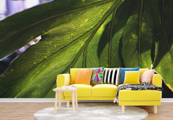 Leafy Green Wallpaper - Tropical Leaves Mural - Botanical & Nature - Modern Home Decor - Bedroom & Living Room - Summer Decor