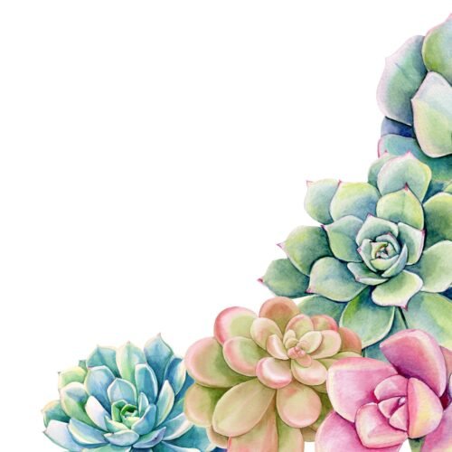 Watercolor Succulents Wallpaper - Botanical & Nature Mural - Bedroom, Dining, Home Office, Entryway - Summer Decor