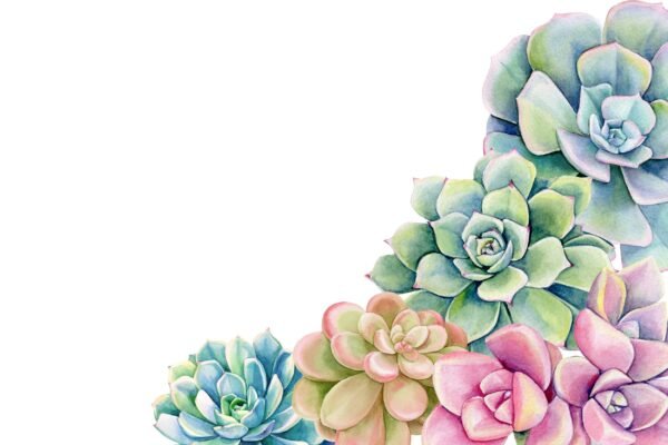 Watercolor Succulents Wallpaper - Botanical & Nature Mural - Bedroom, Dining, Home Office, Entryway - Summer Decor