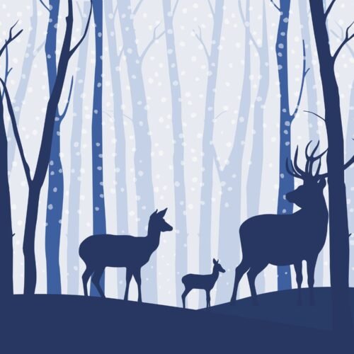 Enchanted Forest Wallpaper - Blue & Gold Kids Room Wall Mural - Whimsical Nature Theme - Trees & Animals - Young Boys Bedroom Decor