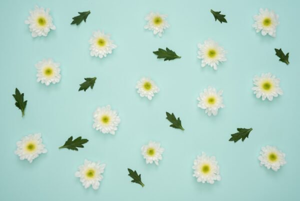 Green & Pink Floral Delight Wallpaper – Daisies & Leaves Mural – Nature Wall Mural – Bedroom, Living Room Decor – Kids Room Decor  - Custom Wallpaper Mural peel and stick self adhesive non woven - printed wall torontodigital.ca